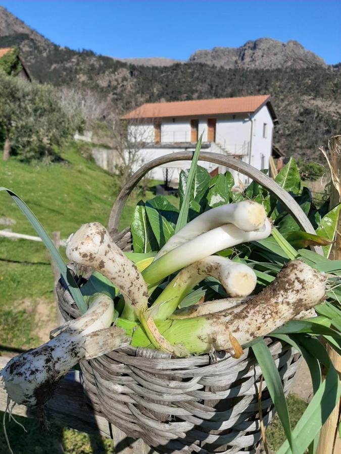 Agriturismo Grilla Villa Mele Bagian luar foto
