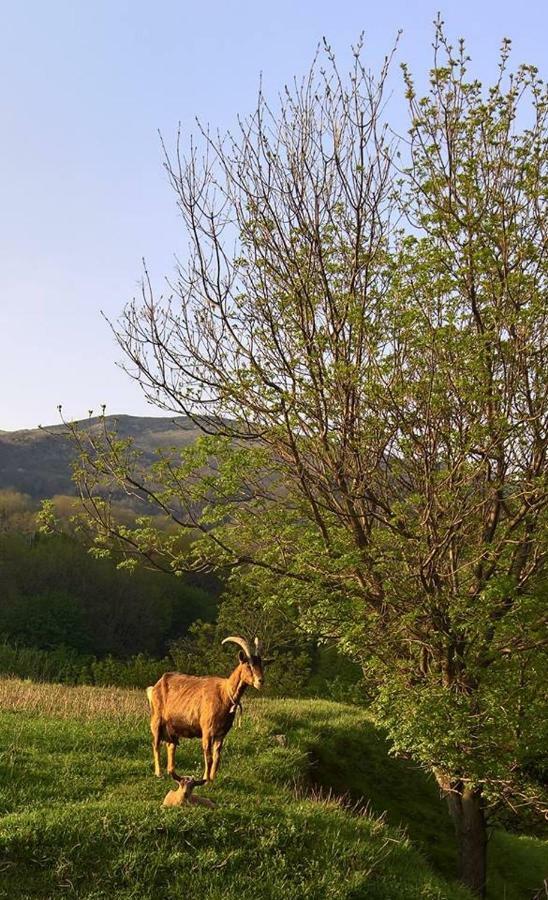 Agriturismo Grilla Villa Mele Bagian luar foto