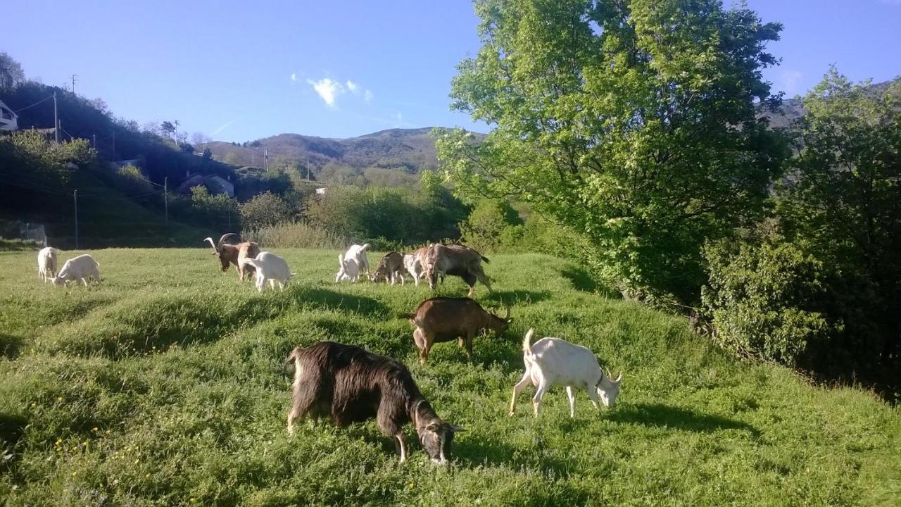 Agriturismo Grilla Villa Mele Ruang foto